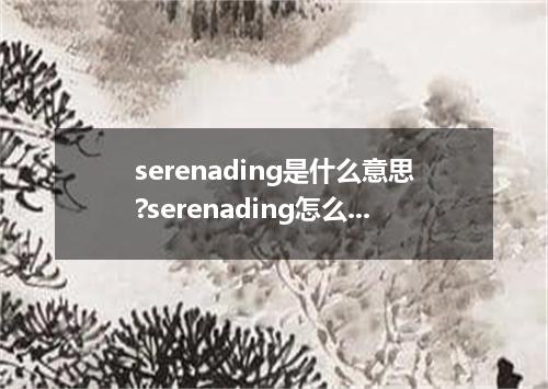 serenading是什么意思?serenading怎么发音?serenading的解释和用法