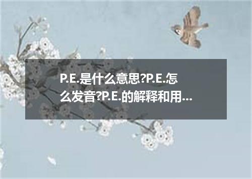 P.E.是什么意思?P.E.怎么发音?P.E.的解释和用法