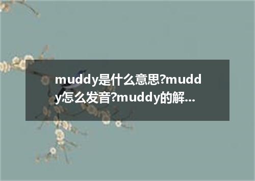 muddy是什么意思?muddy怎么发音?muddy的解释和用法