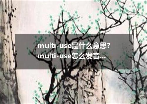 multi-use是什么意思?multi-use怎么发音?multi-use的解释和用法