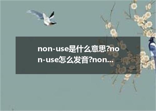 non-use是什么意思?non-use怎么发音?non-use的解释和用法