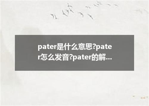 pater是什么意思?pater怎么发音?pater的解释和用法