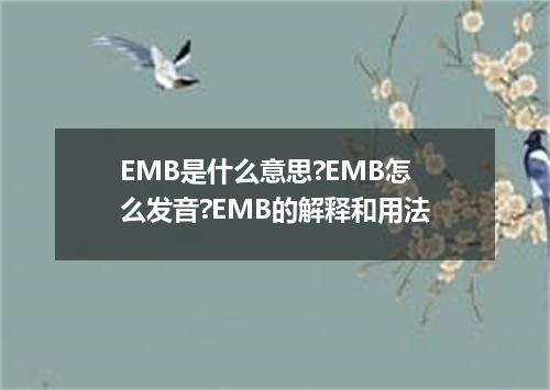 EMB是什么意思?EMB怎么发音?EMB的解释和用法