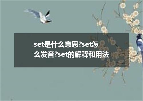 set是什么意思?set怎么发音?set的解释和用法