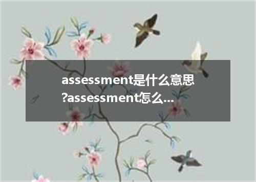 assessment是什么意思?assessment怎么发音?assessment的解释和用法