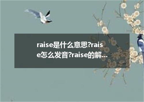 raise是什么意思?raise怎么发音?raise的解释和用法