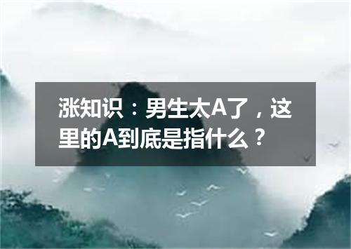 涨知识:男生太A了,这里的A到底是指什么?