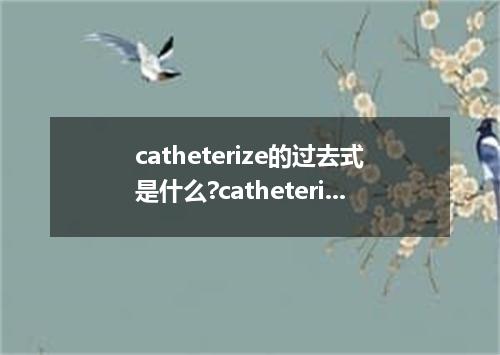 catheterize的过去式是什么?catheterize的用法和例句