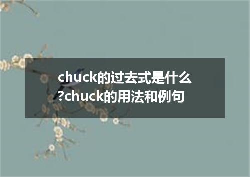 chuck的过去式是什么?chuck的用法和例句