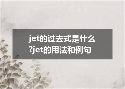 jet的过去式是什么?jet的用法和例句