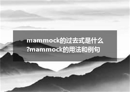 mammock的过去式是什么?mammock的用法和例句