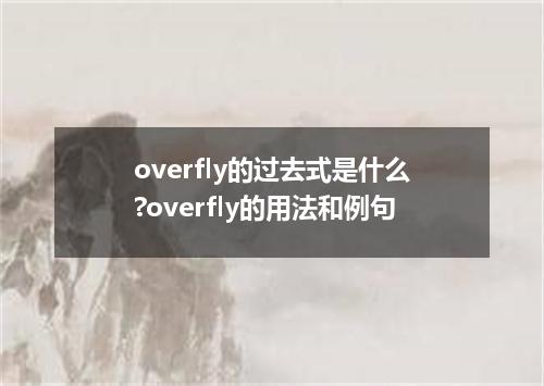 overfly的过去式是什么?overfly的用法和例句