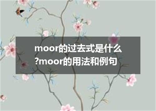 moor的过去式是什么?moor的用法和例句