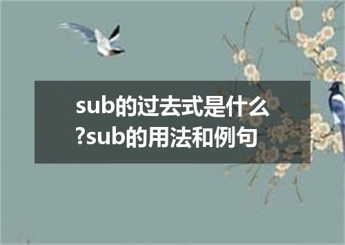 sub的过去式是什么?sub的用法和例句