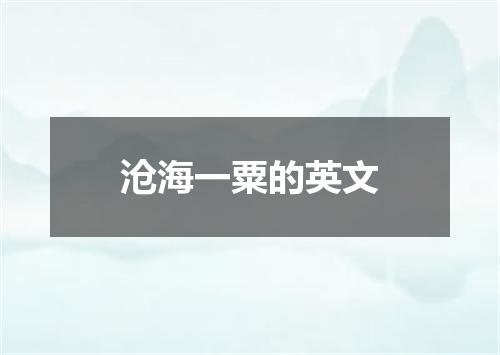 沧海一粟的英文