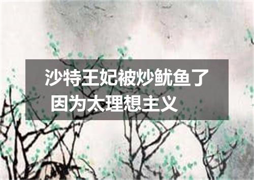 沙特王妃被炒鱿鱼了 因为太理想主义