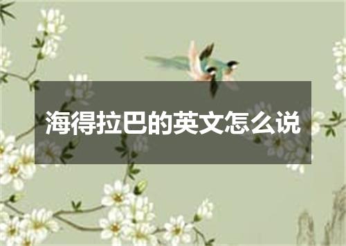 海得拉巴的英文怎么说