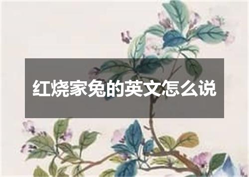 红烧家兔的英文怎么说