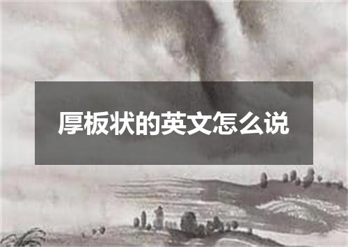厚板状的英文怎么说