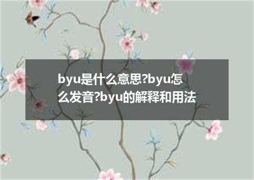 byu是什么意思?byu怎么发音?byu的解释和用法