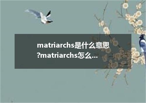 matriarchs是什么意思?matriarchs怎么发音?matriarchs的解释和用法