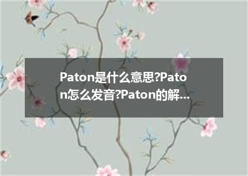 Paton是什么意思?Paton怎么发音?Paton的解释和用法