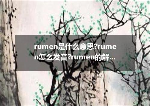 rumen是什么意思?rumen怎么发音?rumen的解释和用法