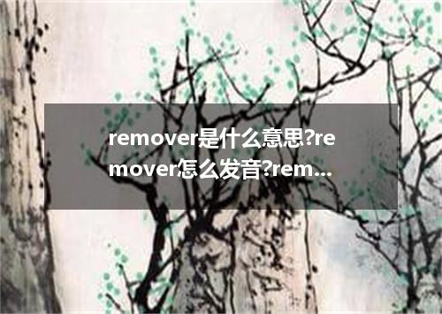 remover是什么意思?remover怎么发音?remover的解释和用法