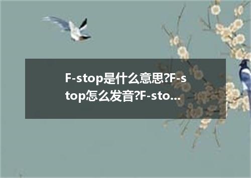 F-stop是什么意思?F-stop怎么发音?F-stop的解释和用法