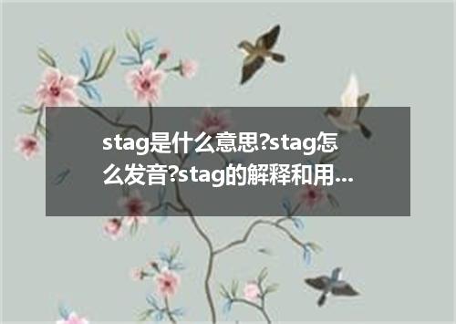 stag是什么意思?stag怎么发音?stag的解释和用法