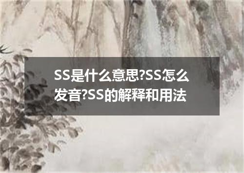 SS是什么意思?SS怎么发音?SS的解释和用法