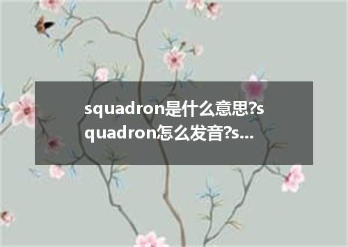 squadron是什么意思?squadron怎么发音?squadron的解释和用法