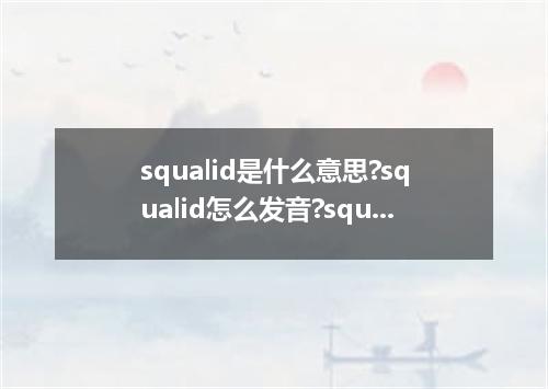 squalid是什么意思?squalid怎么发音?squalid的解释和用法