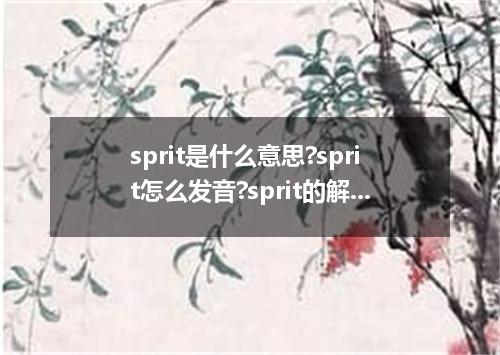 sprit是什么意思?sprit怎么发音?sprit的解释和用法