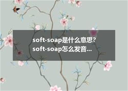 soft-soap是什么意思?soft-soap怎么发音?soft-soap的解释和用法