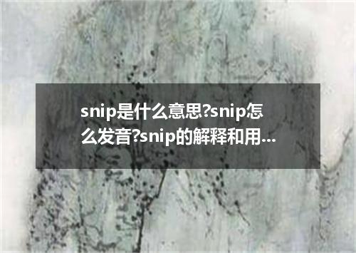 snip是什么意思?snip怎么发音?snip的解释和用法