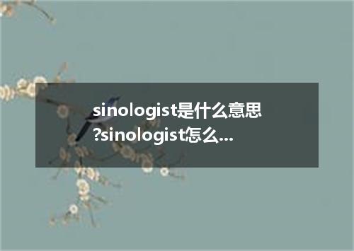 sinologist是什么意思?sinologist怎么发音?sinologist的解释和用法