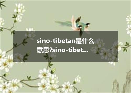 sino-tibetan是什么意思?sino-tibetan怎么发音?sino-tibetan的解释和用法