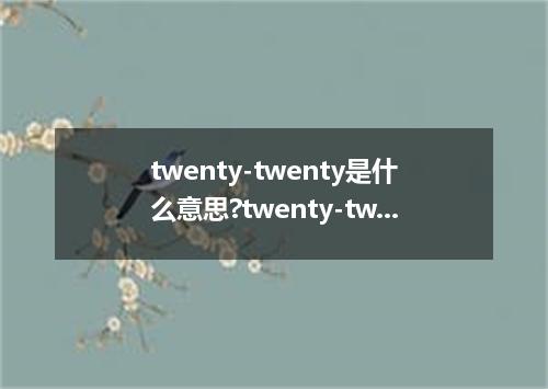 twenty-twenty是什么意思?twenty-twenty怎么发音?twenty-twenty的解释和用法
