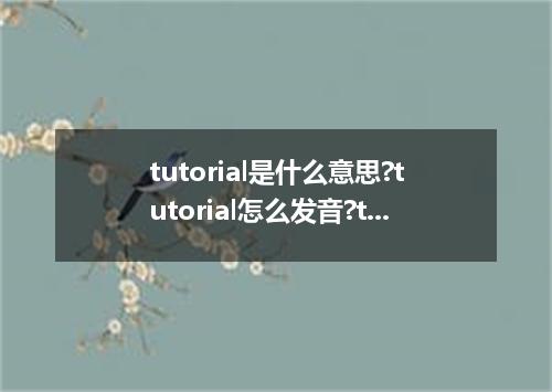 tutorial是什么意思?tutorial怎么发音?tutorial的解释和用法