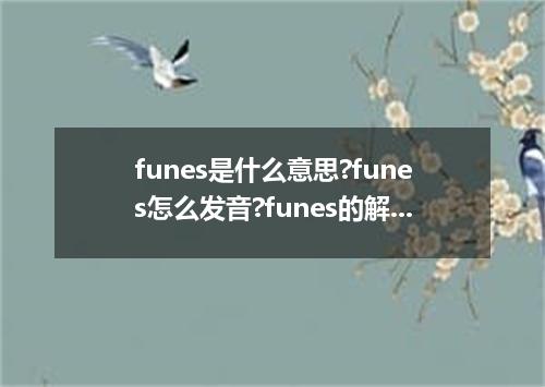 funes是什么意思?funes怎么发音?funes的解释和用法