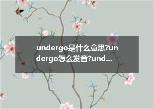 undergo是什么意思?undergo怎么发音?undergo的解释和用法