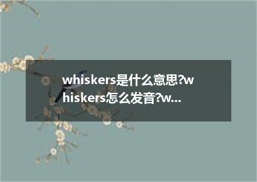 whiskers是什么意思?whiskers怎么发音?whiskers的解释和用法
