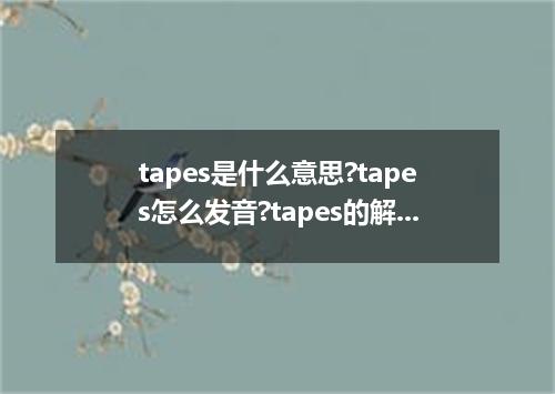 tapes是什么意思?tapes怎么发音?tapes的解释和用法