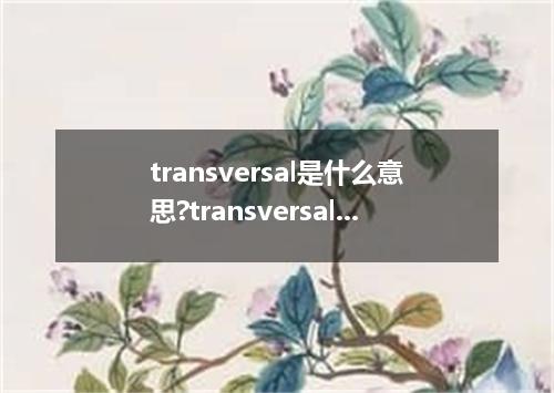 transversal是什么意思?transversal怎么发音?transversal的解释和用法