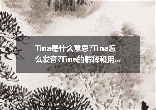 Tina是什么意思?Tina怎么发音?Tina的解释和用法