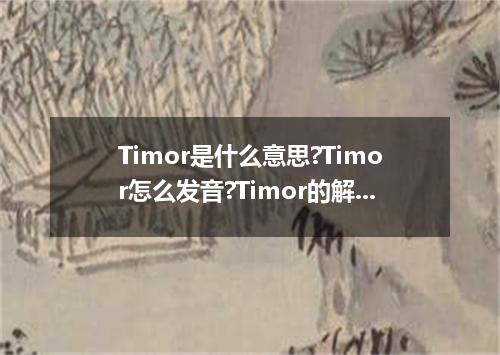 Timor是什么意思?Timor怎么发音?Timor的解释和用法