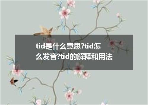 tid是什么意思?tid怎么发音?tid的解释和用法
