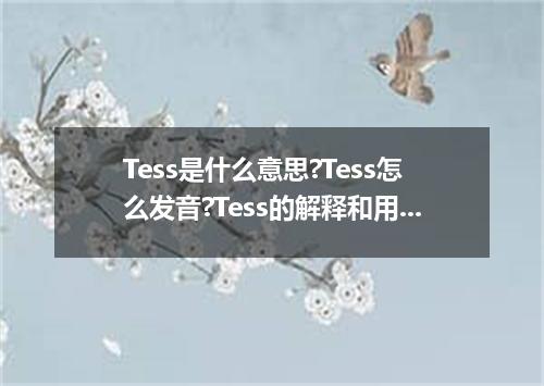 Tess是什么意思?Tess怎么发音?Tess的解释和用法