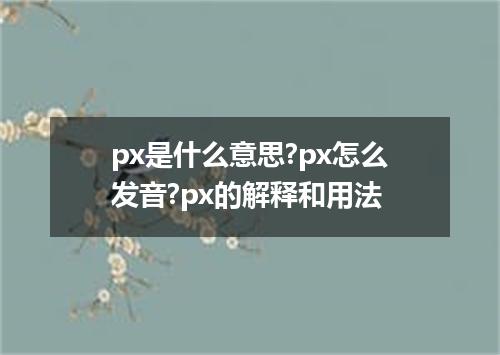 px是什么意思?px怎么发音?px的解释和用法